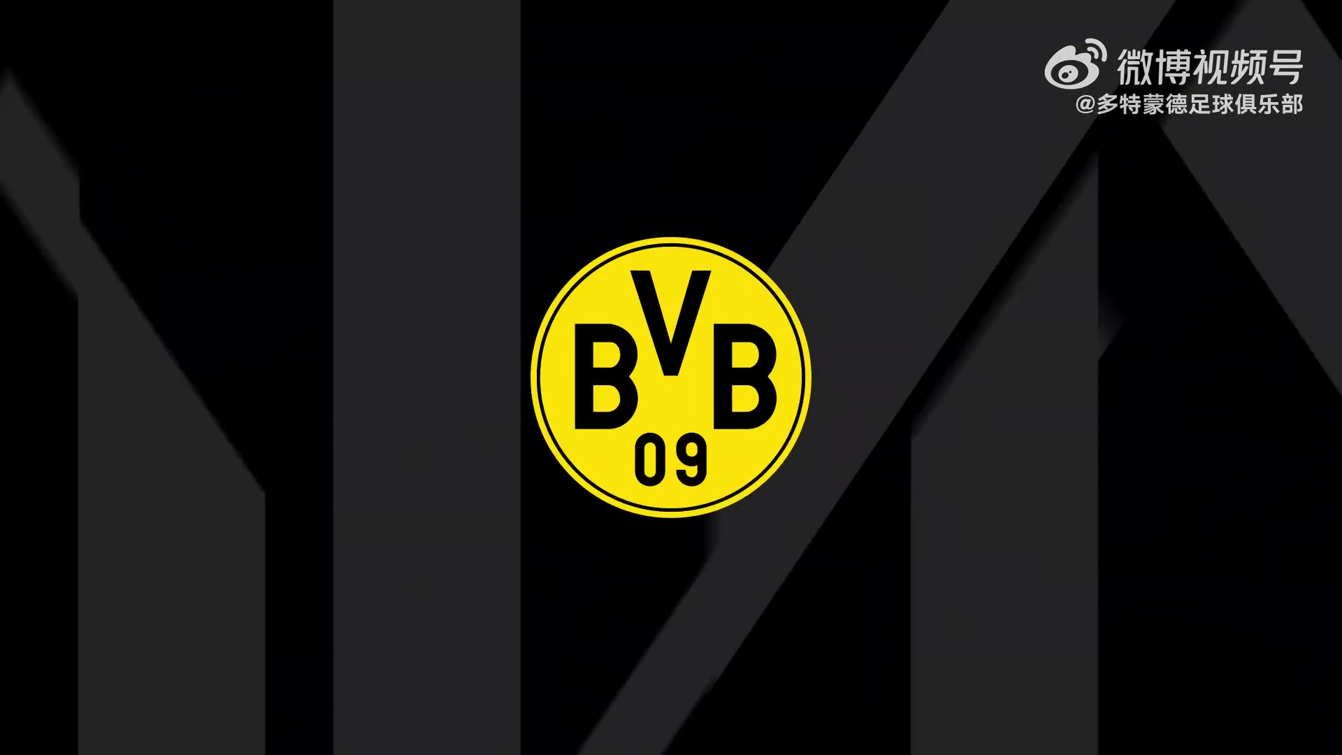 v体育-樊振东与波尔到访多特+踢球🤣樊振东调侃：尽力了但踢得不咋地